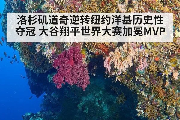 洛杉矶道奇逆转纽约洋基历史性夺冠 大谷翔平世界大赛加冕MVP